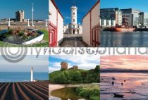 Coast of Angus Composite Postcard