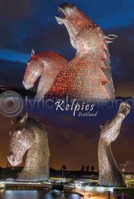 Kelpies Scotland Postcard
