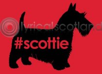 #scottie Magnet