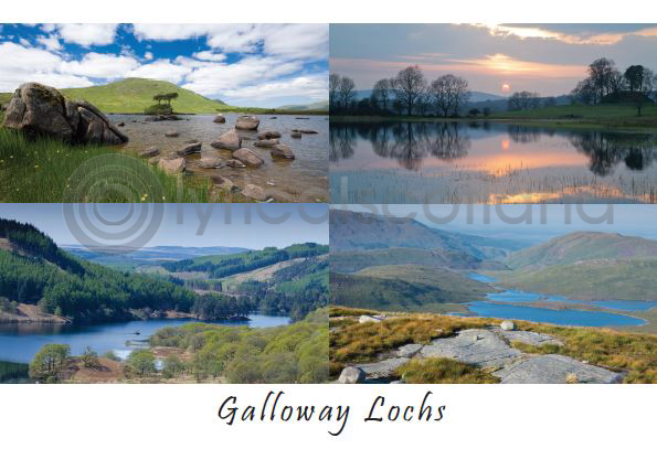Galloway Lochs Composite Postcard