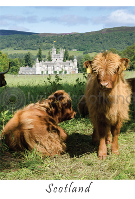 Balmoral Castle - Scotland Postcard