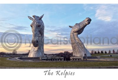 Kelpies Daytime Postcard