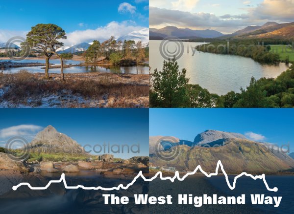 West Highland Way Elevation Composite Magnet