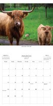 2027 Calendar Highland Cows
