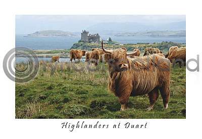 Windswept Highlanders at Duart Postcard