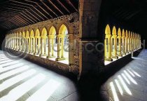 Cloisters, Iona Abbey Postcard