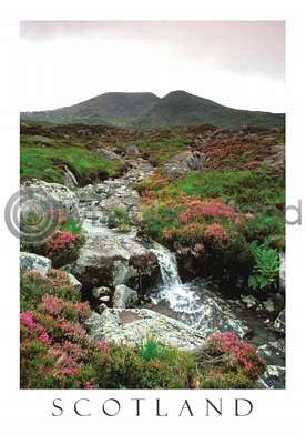 Highland Burn - Scotland