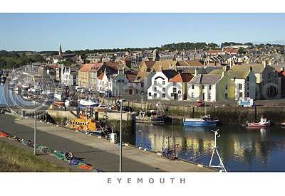 Eyemouth Harbour Postcard