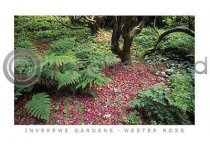Inverewe Gardens Wester Ross Postcard