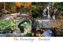 Hermitage Bridge, Autumn Composite Postcard