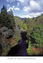 Pass of Killiecrankie Postcard