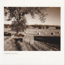 Hay Bales, Stirling Sepia Greetings Card
