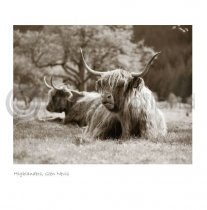 Highlanders, Glen Nevis Sepia Greetings Card