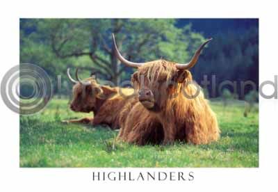 Highlanders in Glen Nevis Postcard