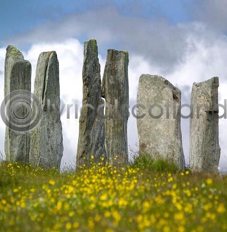 Callanish Stones Colour Photo Greetings Card