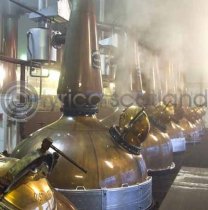 Malt Whisky Stills Colour Photo Greetings Card