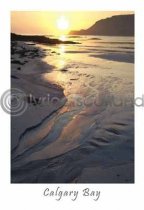 Calgary Bay Sunset Postcard