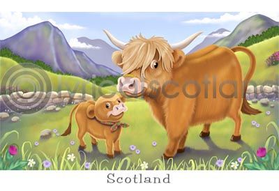 Highland Cow Cartoon Postcard